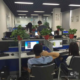 德祐商務(wù)信息咨詢 誠邀精英，共筑未來